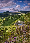 Moors and Dales portfolio
